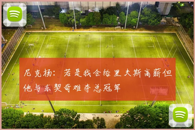 尼克杨：若是我会给里夫斯高薪但他与东契奇难夺总冠军