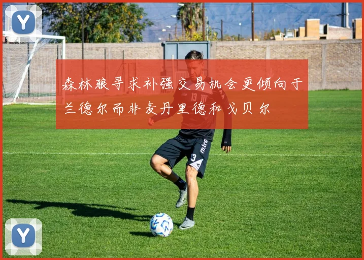 森林狼寻求补强交易机会更倾向于兰德尔而非麦丹里德和戈贝尔