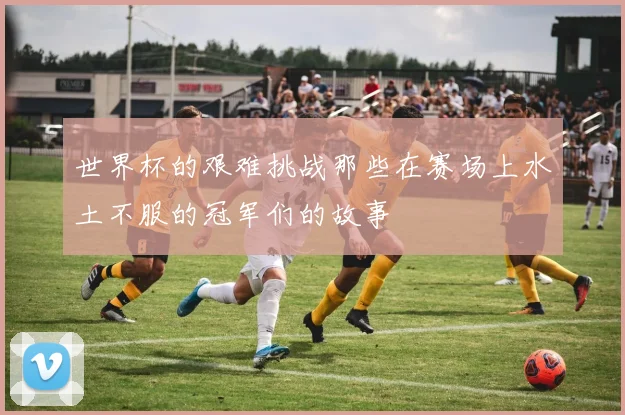 世界杯的艰难挑战那些在赛场上水土不服的冠军们的故事