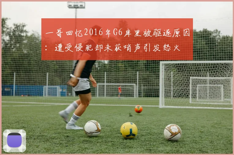 一哥回忆2016年G6库里被驱逐原因：遭受侵犯却未获哨声引发怒火
